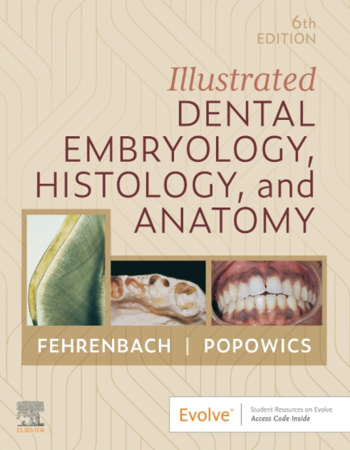 Illustrated Dental Embryology