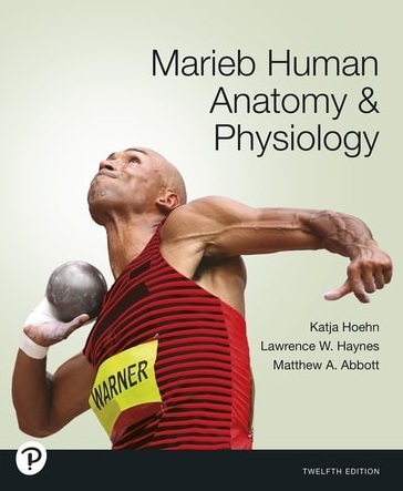 Ebook- Human Anatomy & Physiology 6 Month